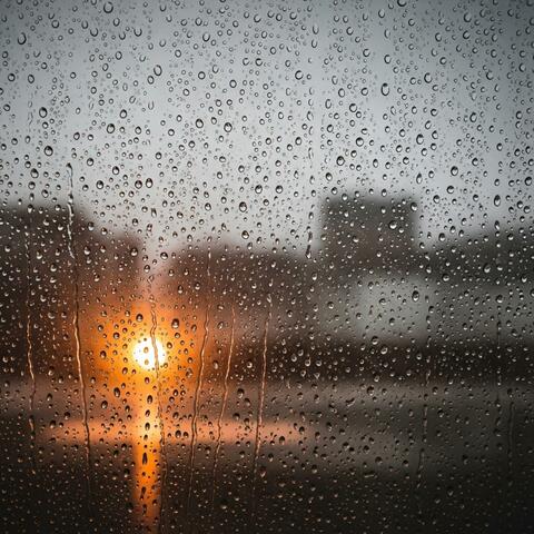 Soft Rain and Piano: Gentle Study Music for Unwinding and Work Flow