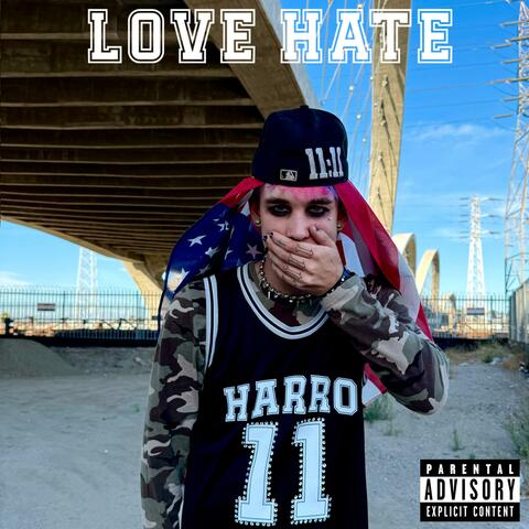 LOVE HATE