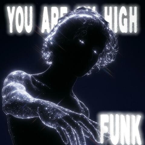 YOU ARE MY HIGH FUNK