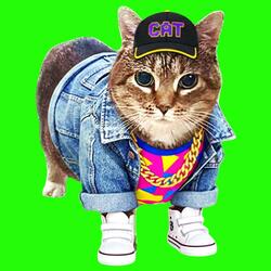 OIIA OIIA RETRO Spinning CAT