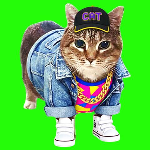 OIIA OIIA RETRO Spinning CAT