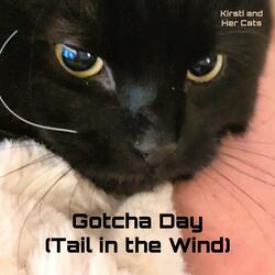 Gotcha Day (Tail in the Wind)