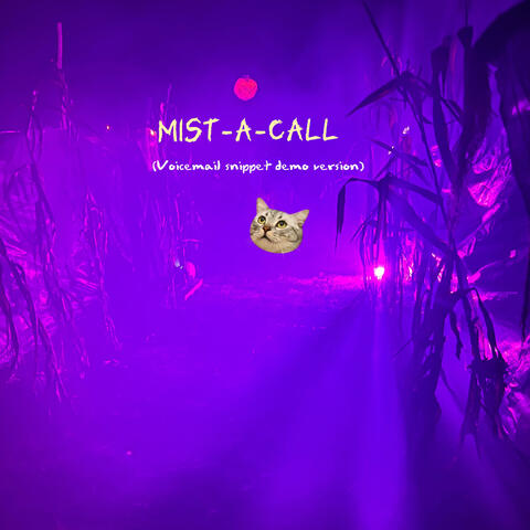 Mist-a-call (Voicemail demo snippet version)