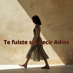 Te fuiste sin decir Adios