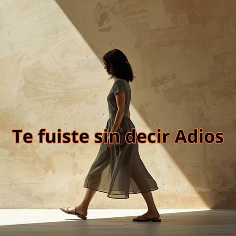 Te fuiste sin decir Adios