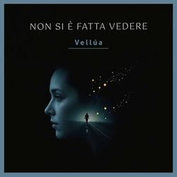 Non Si È Fatta Vedere