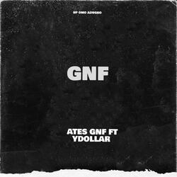 Ates Gnf