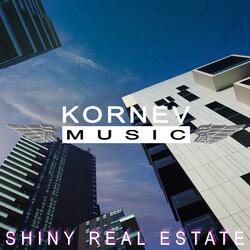 Shiny Real Estate