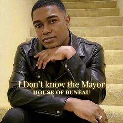 I Don't Know the Mayor