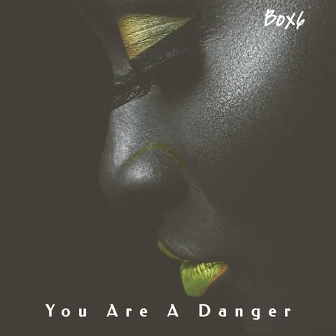 You Are A Danger