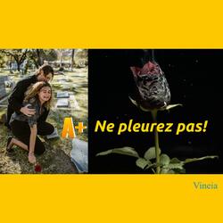 A+ (Ne pleurez pas!)