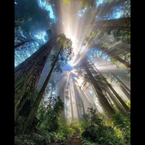 aint no stopping p. tec9beat & threeeangels