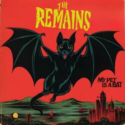 My Pet Is A Bat