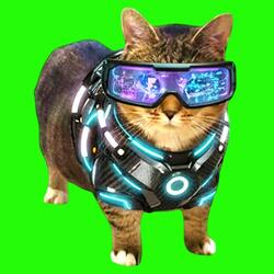 OIIA OIIA VISION Spinning CAT