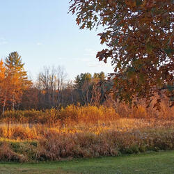 Autumn Writes Your Name