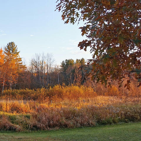 Autumn Writes Your Name