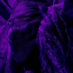 Fazla Asit (Stephen Curry)