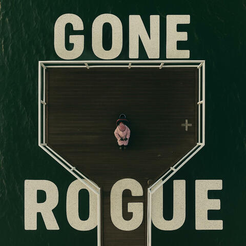Gone Rogue