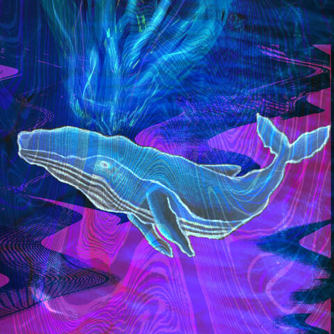 Cosmic Cetacean Funk
