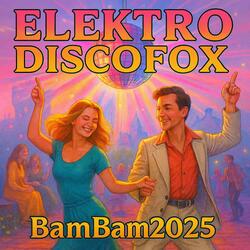 Elektro Discofox