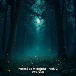 Silent Embers – Vanishing Flame