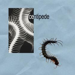 centipede