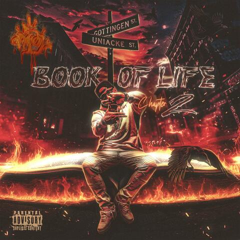 BOOK OF LIFE CHAPTER 2