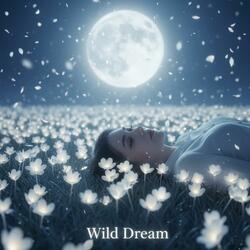 Wild Dream