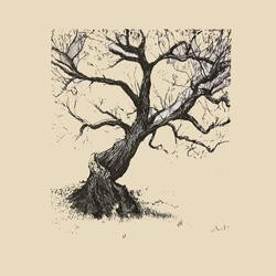 i want to walk as a child of the light