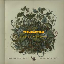 Pandanus Tectorius (Live)