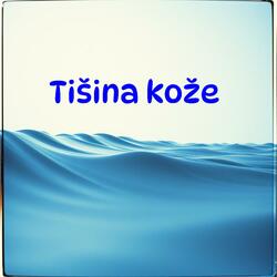 Tišina kože