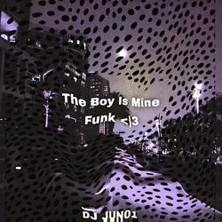 The Boy Is Mine Funk