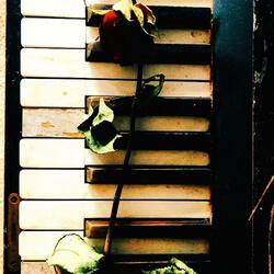 Base de Rap Piano Jazz Boom Bap // Boom Bap Beat Underground//Free Base de Rap..