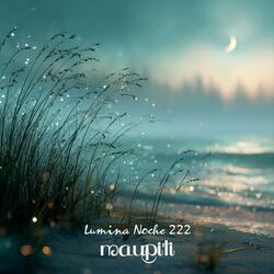 Lumina Noche 222