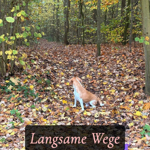 Langsame Wege