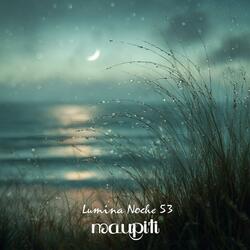 Lumina Noche 53