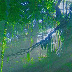 Machina Organica 5.1. Magnetism