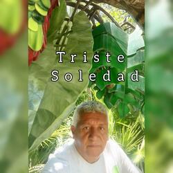 Triste Soledad (feat. Gregorio Zuñiga Robles)