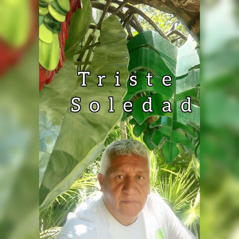 Triste Soledad (feat. Gregorio Zuñiga Robles)