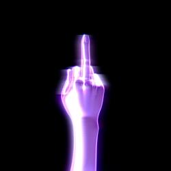 Middle Finger To The World