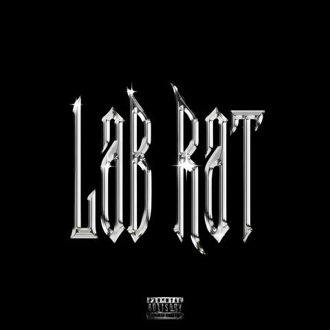 Lab rat