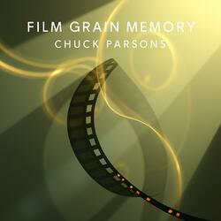 Film Grain Memory