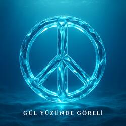 Gül Yüzünde Göreli (Instrumental Turkish Fusion)