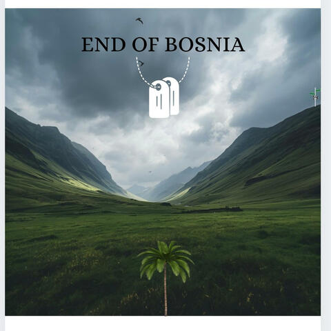 END OF BOSNIA