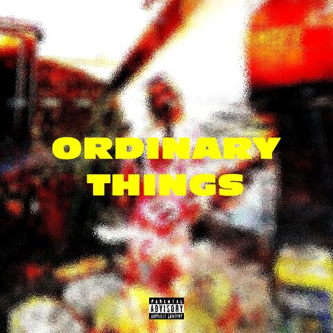 ORDINARY THINGS