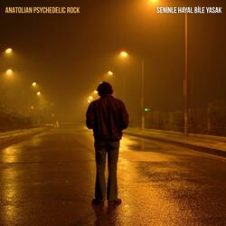 Seninle Hayal Bile Yasak