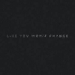 LIKE YOU WON'T CHANGE (Slowed + Reverb)