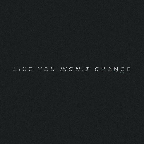 LIKE YOU WON'T CHANGE