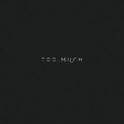 TOO MUCH (Slowed + Reverb)