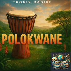 Polokwane